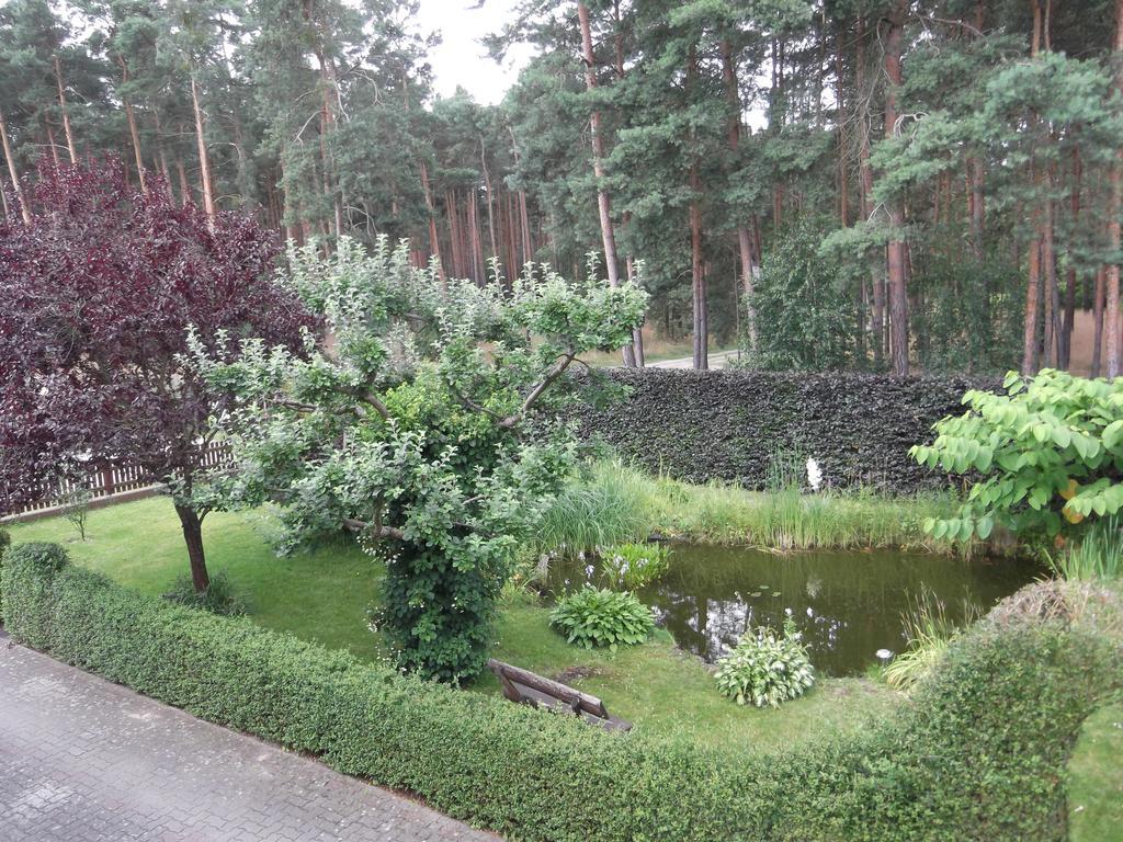 Amselgarten Lübben Eksteriør billede